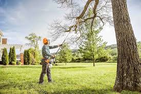 How Our Tree Care Process Works  in  Fairfield Harbour, NC